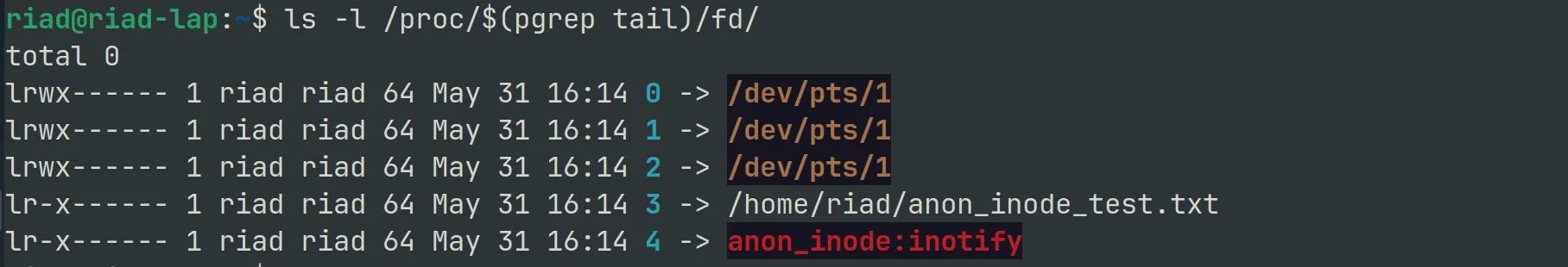 Output of ls on the tail process's file descriptors, showing a red anon_inode:inotify entry